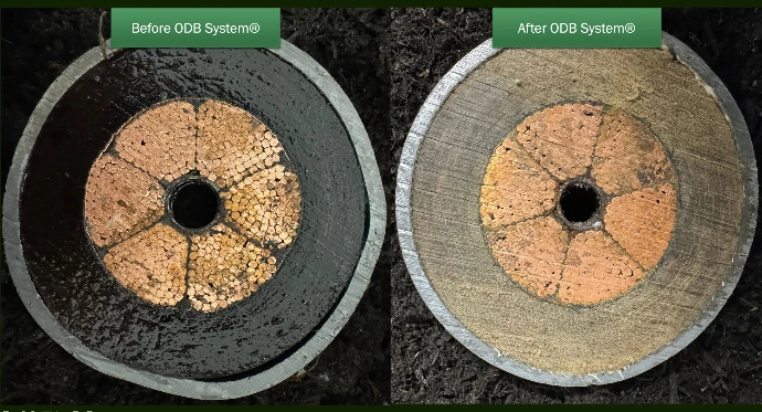 ODB System Treatment Results Before and After